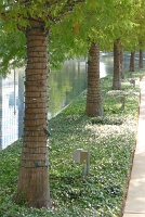  Woodlands Waterway