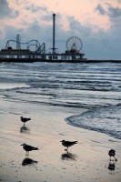  Pleasure Pier