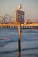  Pleasure Pier
