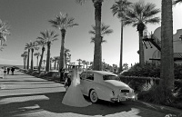  Wedding party