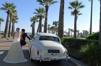  Wedding party
