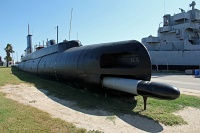  USS Cavalla