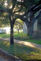  Rice Blvd near Greenbriar