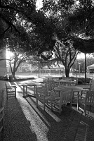 Rice Memorial Center