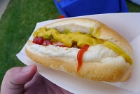  James Coney Island hotdog, Centennial Picnic