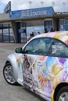  Rice Centennial Beetle