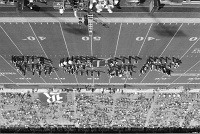  Rice MOB spells 