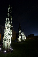 Cypress Trees, Academic Quad