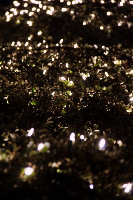 IMG_7500
