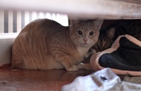  Stella & Friend