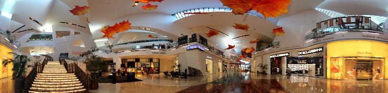 IMG_6610_stitch