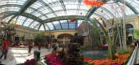  Conservatory & Botanical Gardens, Bellagio