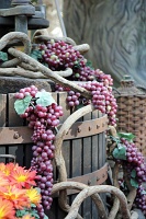  Conservatory & Botanical Gardens, Bellagio