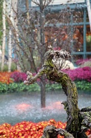  Conservatory & Botanical Gardens, Bellagio