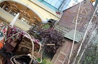  Conservatory & Botanical Gardens, Bellagio