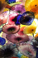  Fiori di Como, Bellagio