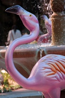  Wildlife Habitat, Flamingo Las Vegas Casino & Hotel