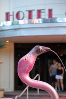  Wildlife Habitat, Flamingo Las Vegas Casino & Hotel