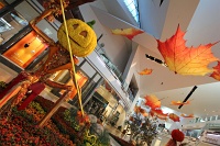  Crystals at City Center