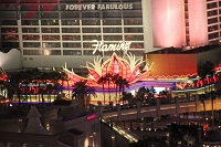  Flamingo Las Vegas Casino & Hotel