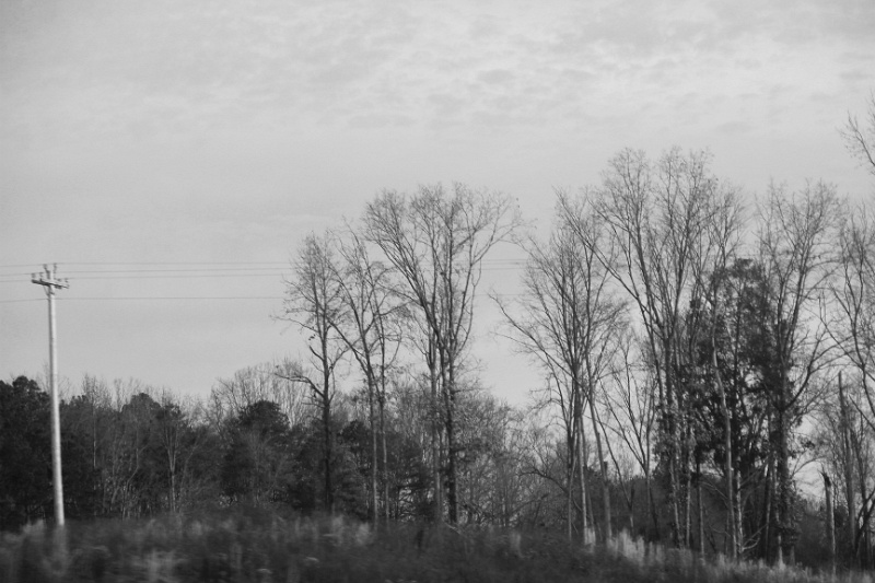 IMG_2055