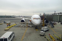 787 at Arrival Gate