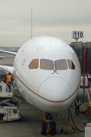  787 at Arrival Gate