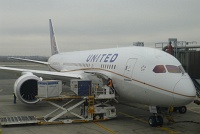  787 at Arrival Gate