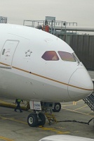 787 at Arrival Gate