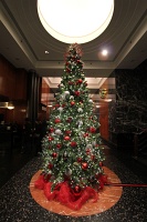  Christmas Tree, Lobby