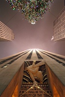 Rockefeller Center Christmas Tree
