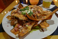  Vianda Nachos con Ropa Vieja (fried plantains topped with latin style stewed beef, monterrey jack cheese, avocado, sour cream, and salsa fresca) at Parrot Club