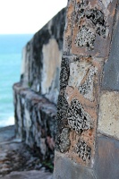 Castillo San Felipe del Morro