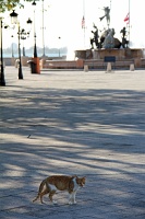  Cat, Paseo de la Princesa
