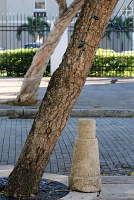  Paseo de la Princesa