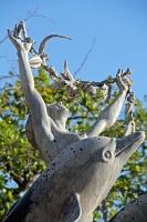  Raíces, Paseo de la Princesa