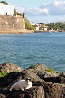  Cat, Paseo Del Morro