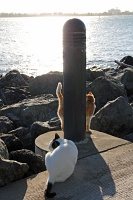  Cats, Paseo Del Morro