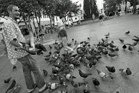  Plaza de Armas