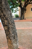  Old San Juan