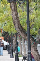  Paseo de la Princesa