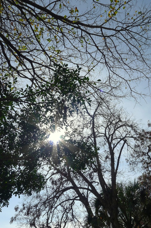 P1130454