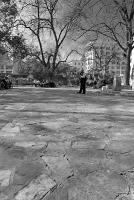  Alamo