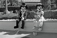  Mickey and Minny have a drink