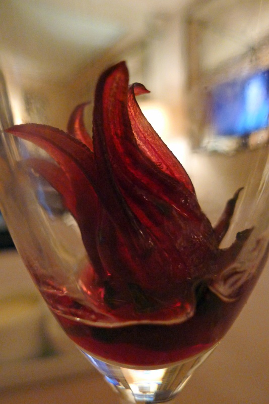 P1130665