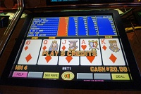  Almost Royal, playing $1/hand