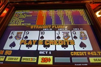  Almost royal - $12.50 win