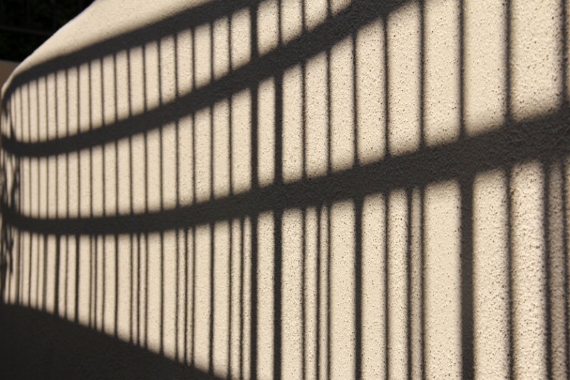IMG_2537