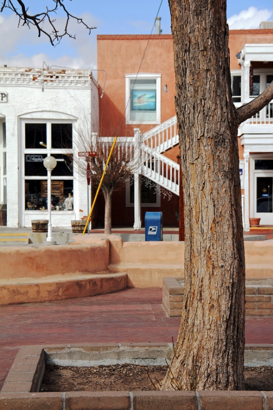 IMG_4697