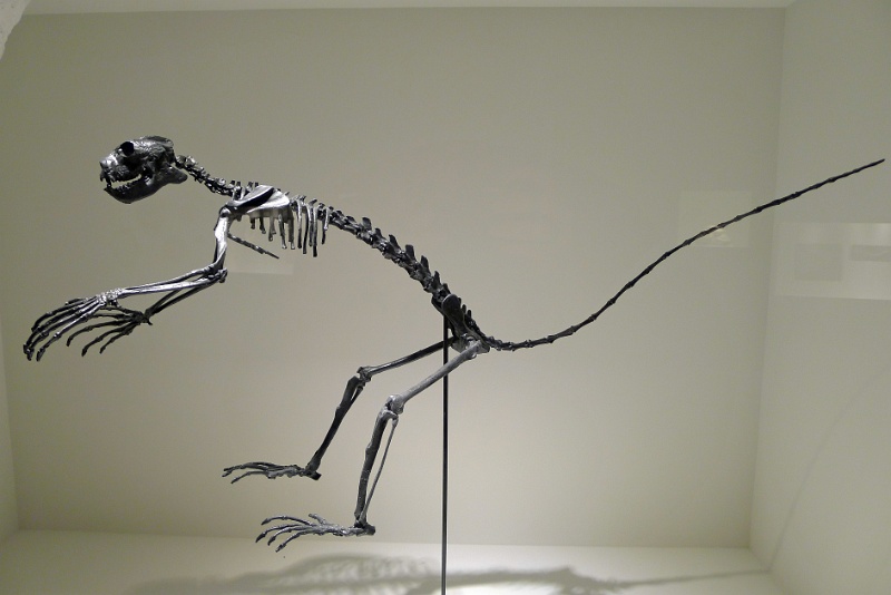 P1140250